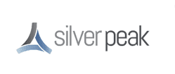 Silver Peak（银峰）公司